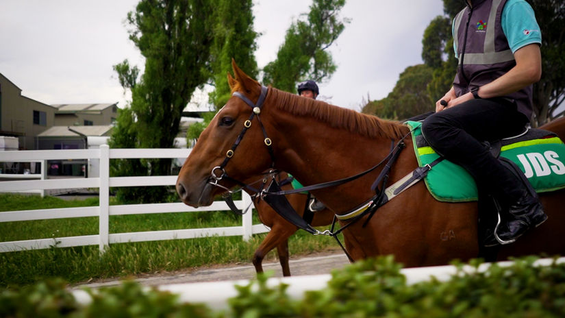 John Sadler - Sebring x Ygritte